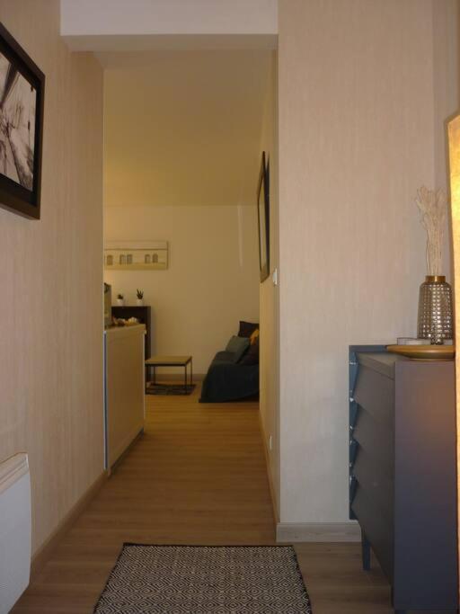 T3 De 70 M2 Idealement Situe Avec Garage แซ็งต์มาโล ภายนอก รูปภาพ